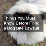 Things You Must Know Before Filing a Dog Bite Lawsuit