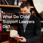 What Do Child Support Lawyers Do?